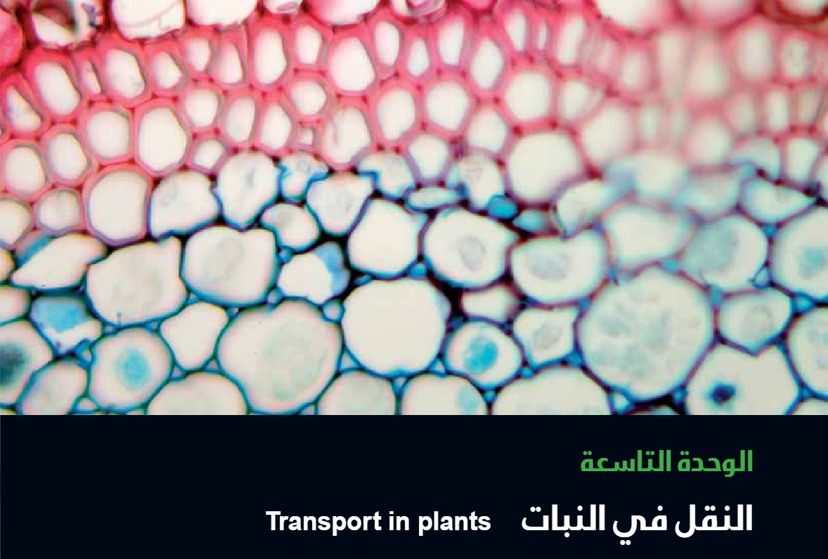الوحدة التاسعة : النقل في النبات