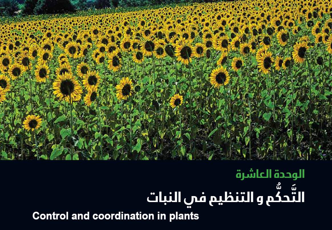 الوحدة العاشرة : التحكم والتنظيم في النبات