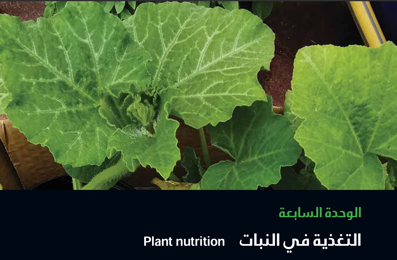 الوحدة السابعة : التغذية في النبات