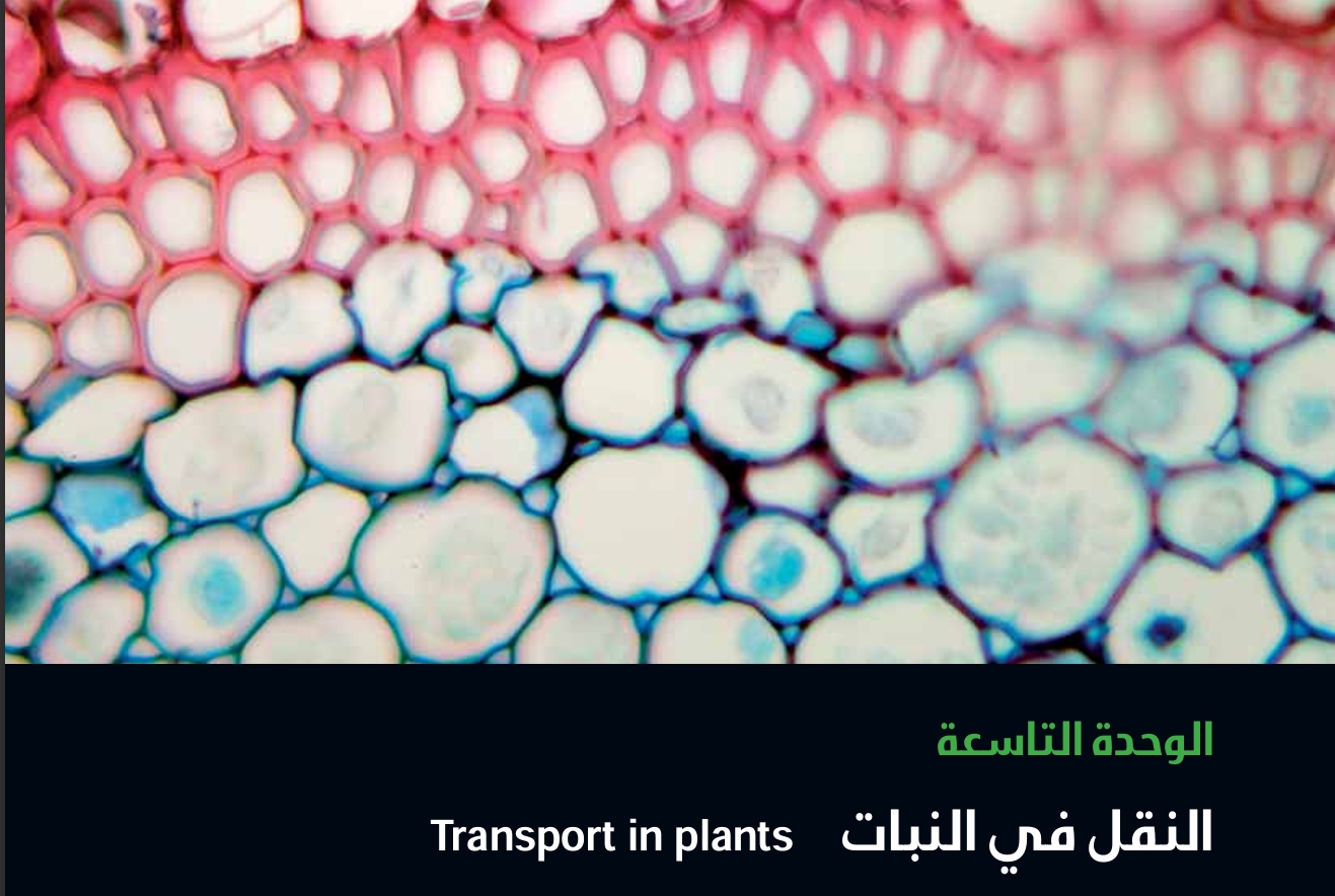 الوحدة التاسعة : النقل في النبات